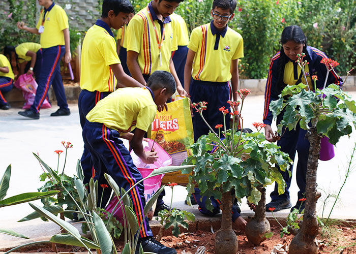 Schools in Bangalore-Bioenzymes