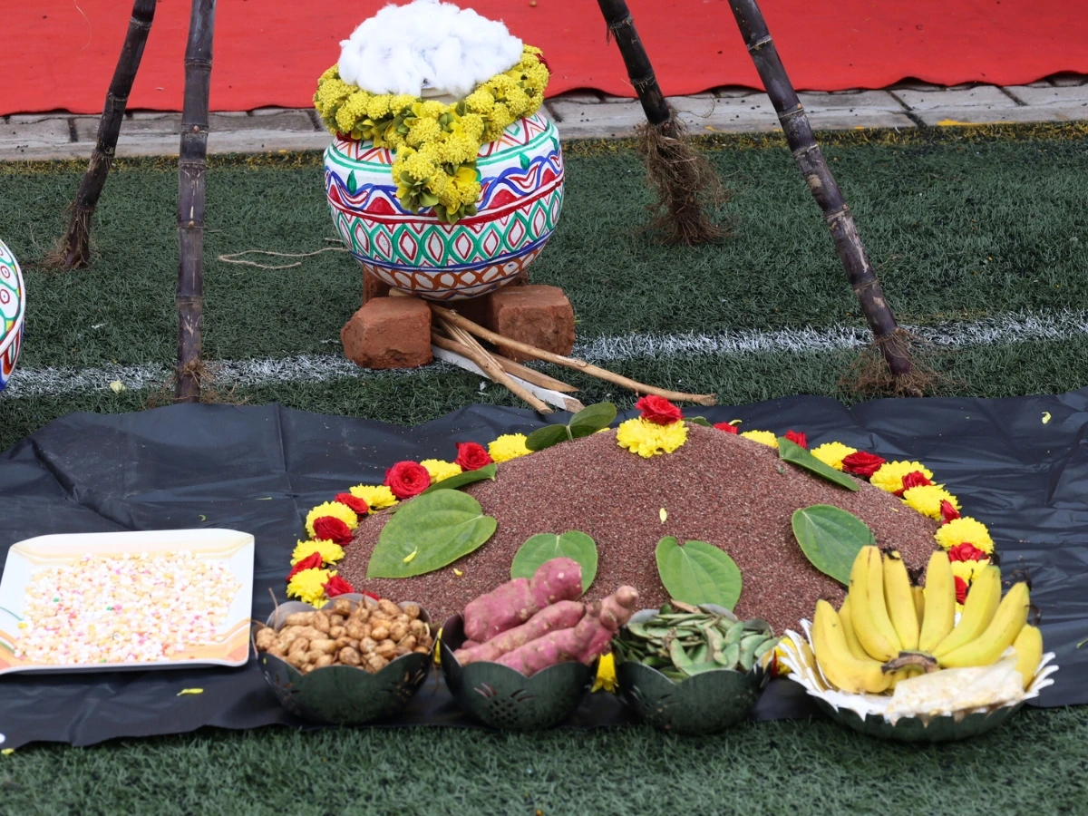 Sankranti Celebration